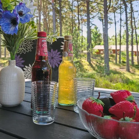 Semesterbostad Bothilda - 950m From The Sea By Interhome Neksø