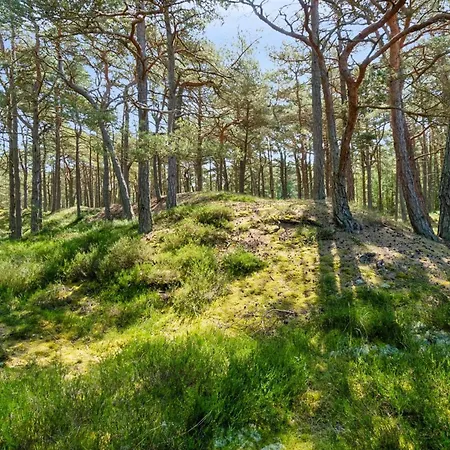 Semesterbostad Bothilda - 950m From The Sea By Interhome Neksø